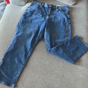 American Eagle Mom Jean size 12 Short